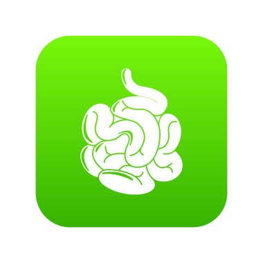 İnce bağırsak yeşil simge vektör