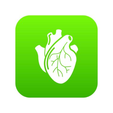 İnsan kalbi organ yeşil simge vektör