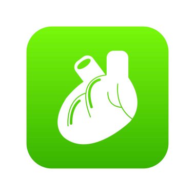 Kalp organ yeşil simge vektör