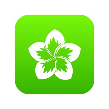 Frangipani çiçek simgesi dijital yeşil