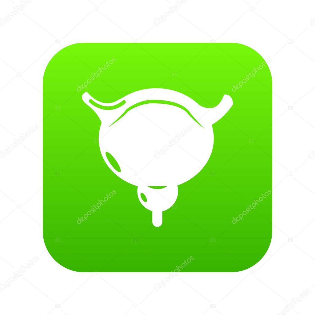 Human bladder icon green vector isolated on white background