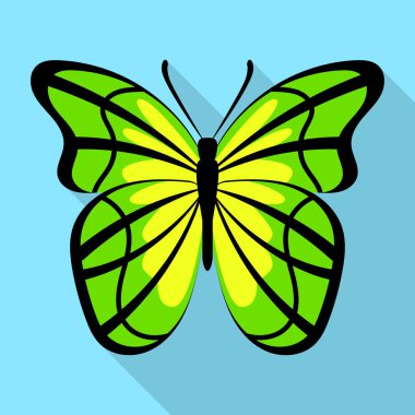 Sarı yeşil kelebek kutsal kişilerin resmi, düz stil