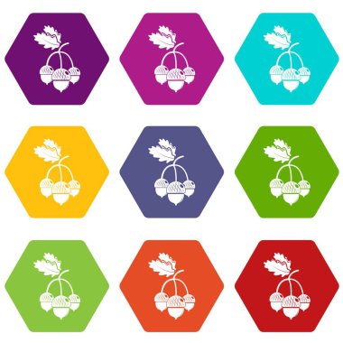 9 vektör meşe palamudu Icons set