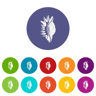 Egzotik kabuk simge, basit tarzı