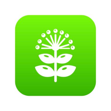 Bal bitki yeşil simge vektör