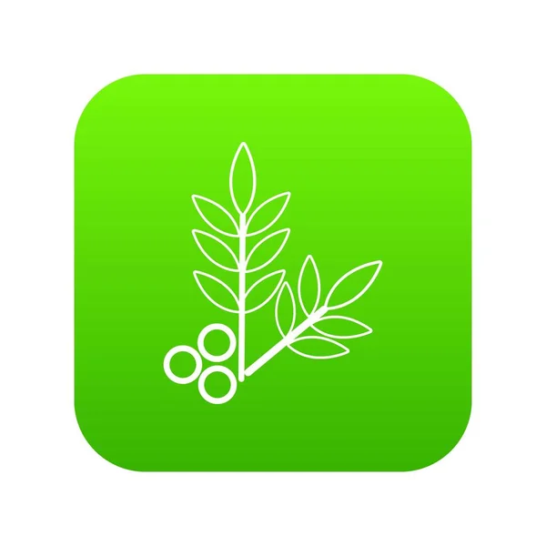 Spa eco leafs pictogram groen vector — Stockvector