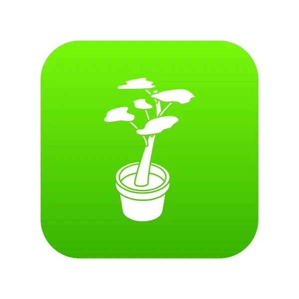 Vektor Office ikonu zelené květina — Stockový vektor