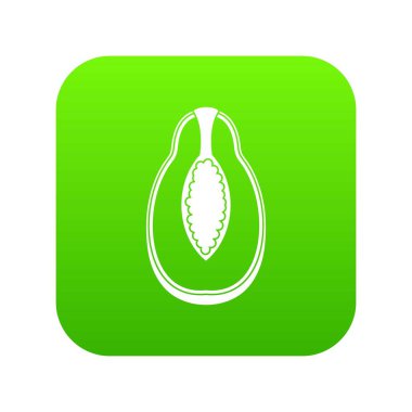 Papaya meyve simgesi dijital yeşil