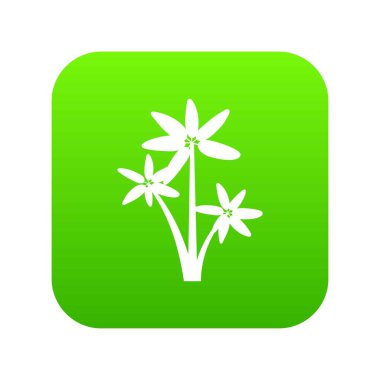 Palmiye ağacı simgesini dijital yeşil