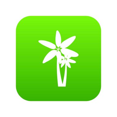 İki palmiye ağaçları simgesi dijital yeşil