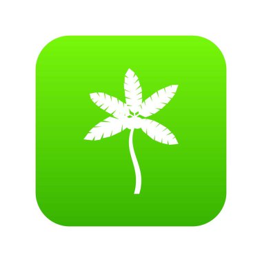 Hindistancevizi simgesi dijital yeşil palmiye ağacı