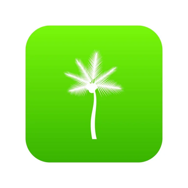 Palm butia capitata icône numérique vert — Image vectorielle