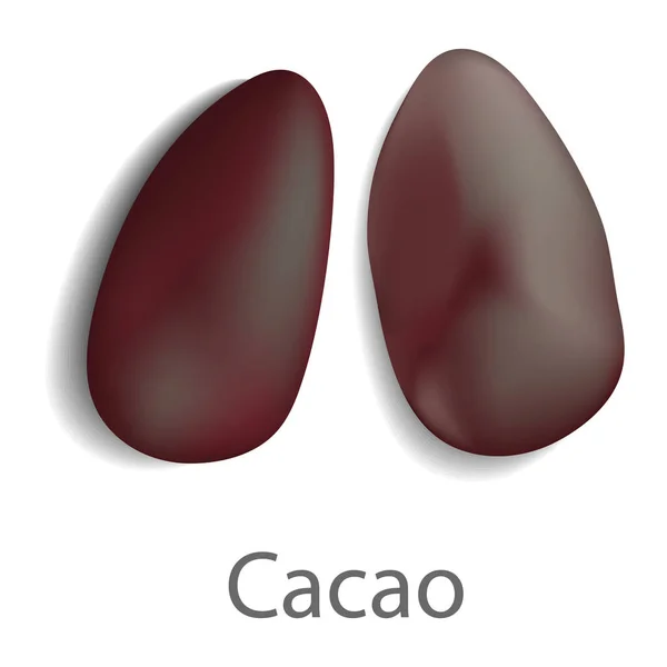 Maqueta de cacao, estilo realista — Vector de stock