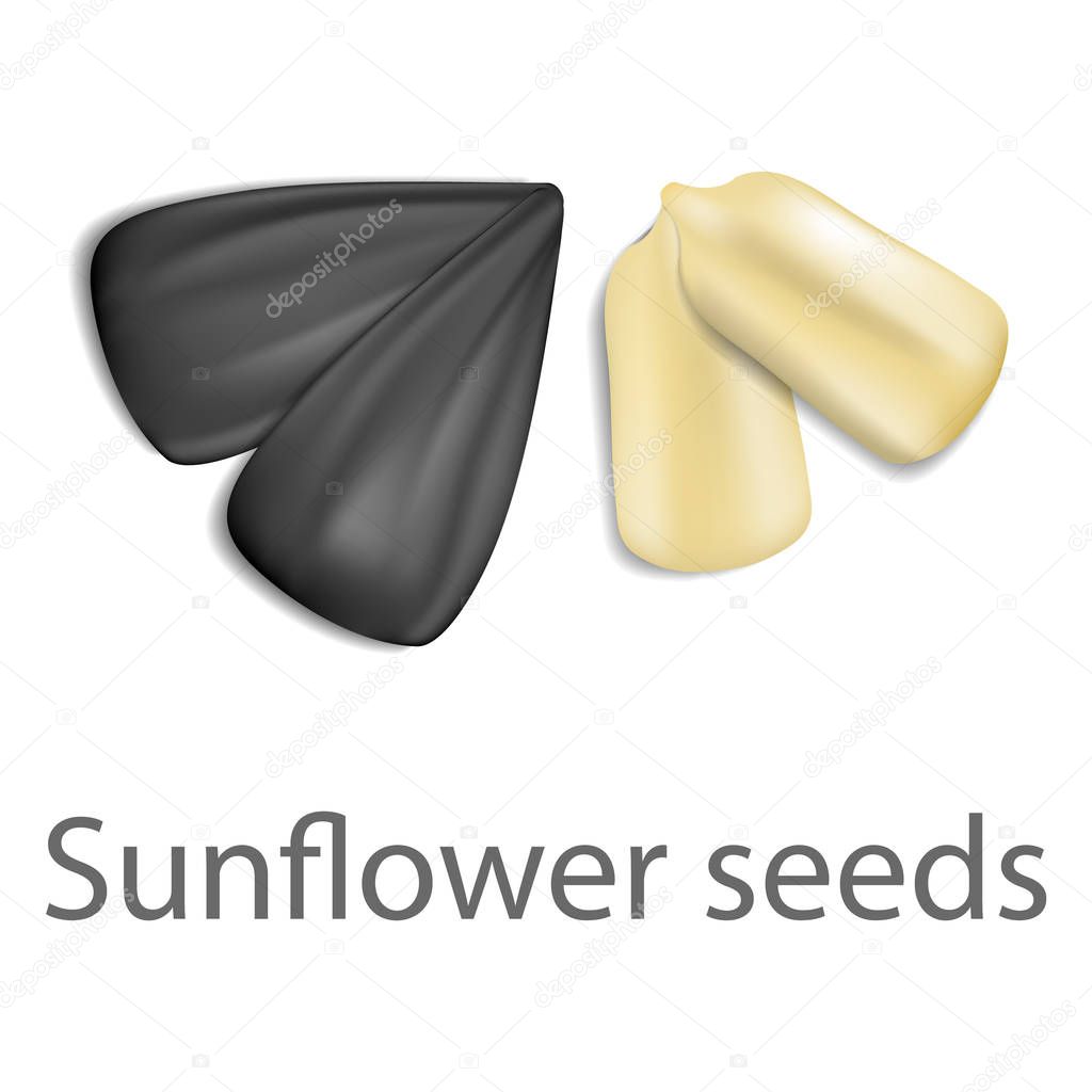 Sunflower seeds mockup, realistic style