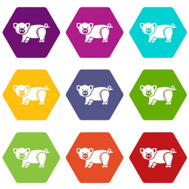 9 vektör şirin domuz Icons set