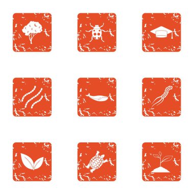 Agroecological simgeler kümesi, grunge tarzı