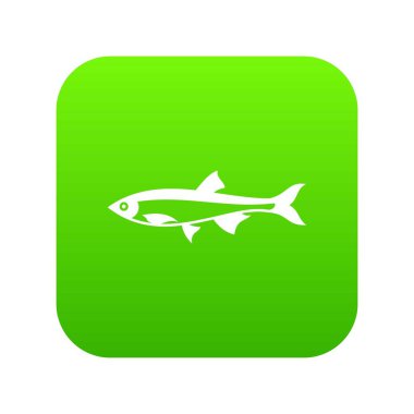 Ringa balığı simgesi dijital yeşil