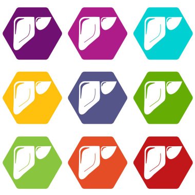 9 vektör karaciğer Icons set