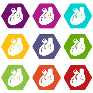9 vektör kalp organ Icons set