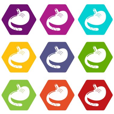 9 vektör mide Icons set