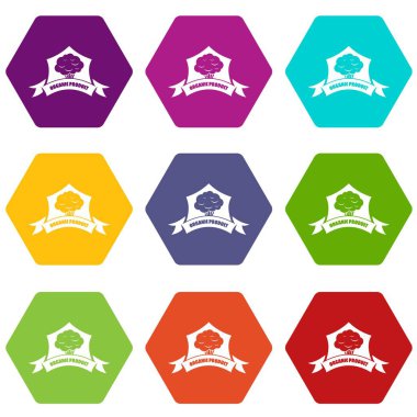 9 vektör organik ürün sebze Icons set