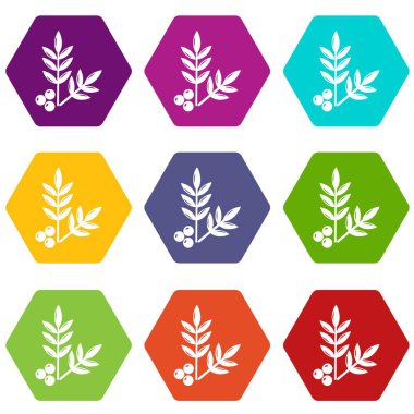 Spa Eko simgeler kümesi 9 vektör yapraklar