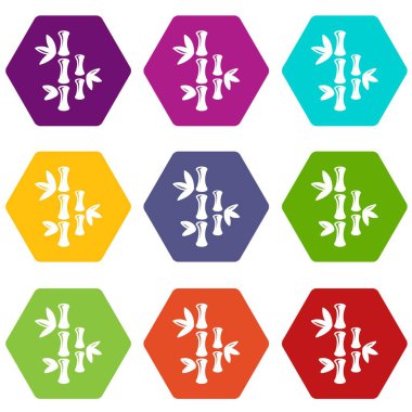 9 vektör doğal bambu Icons set