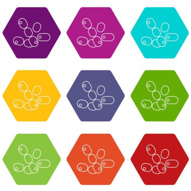 9 vektör coccus basili Icons set