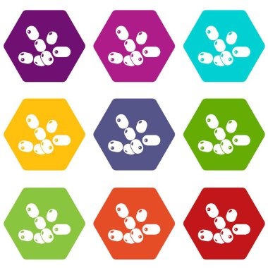 9 vektör coccus basili Icons set