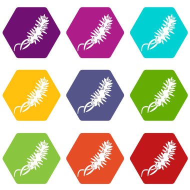 9 vektör E coli bakteri Icons set