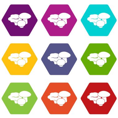 9 vektör mantar Icons set