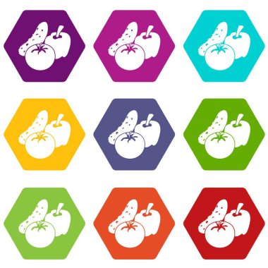 9 vektör sebze gıda Icons set