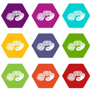 9 vektör fındık Icons set