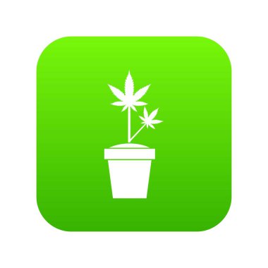 Kenevir pot simgesi dijital yeşil