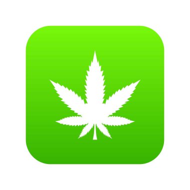 Esrar yaprak simgesi dijital yeşil