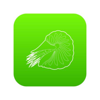 Deniz tarağı simgesi anahat