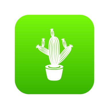 Kaktüs yeşil simge vektör