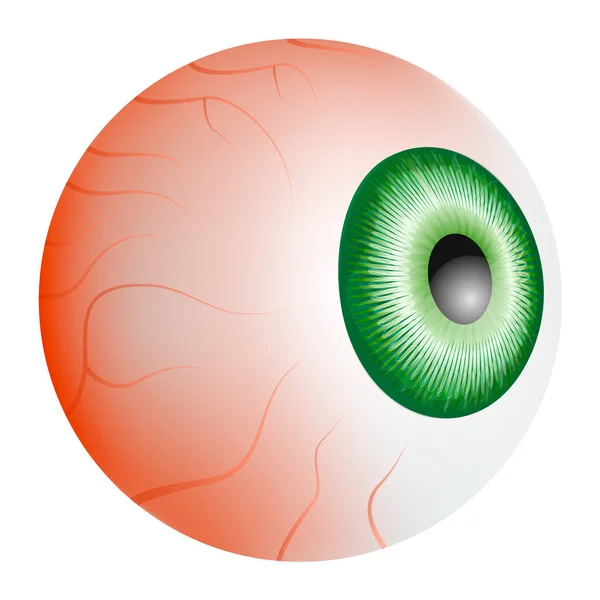 Modèle de sang de globe oculaire, style réaliste — Image vectorielle