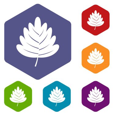 Altıgen alıç yaprağı Icons set