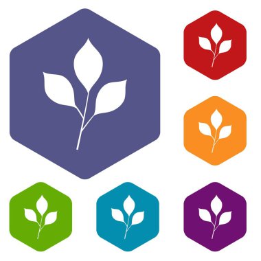 Simgeler kümesi altıgen kiraz yaprakları