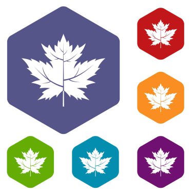 Altıgen Bektaşi üzümü yaprağı Icons set