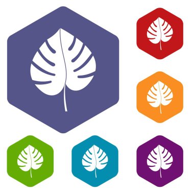 Yaprak monstera simgelerin altıgen ayarla