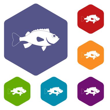 Deniz levreği simgeler kümesi altıgen balık