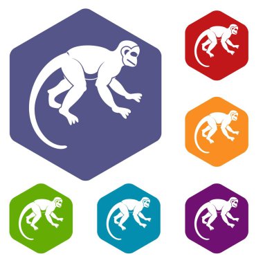 Altıgen Capuchin maymun Icons set