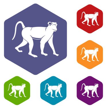 Altıgen maymun Icons set