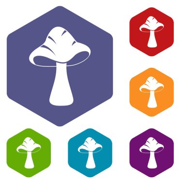 Altıgen büyük mantar Icons set