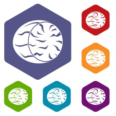 Küçük Hindistan cevizi simgeler yarısı altıgen ayarla