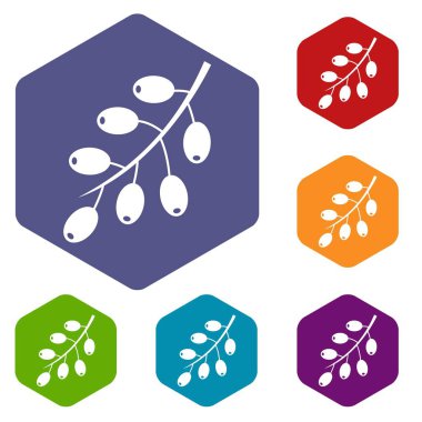 Altıgen kızamık şube Icons set