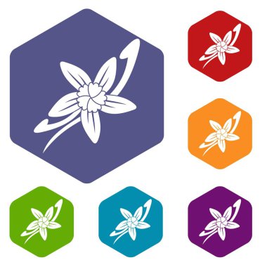 Bir çiçek simgeler kümesi altıgen ile vanilya çubukları