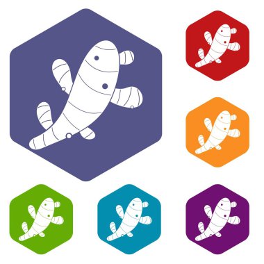 Altıgen zencefil Icons set